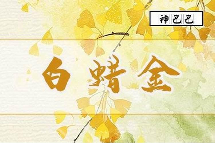 2025年5月27日八字