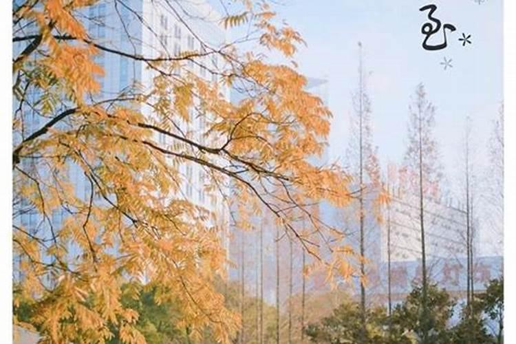 台州冬至吃什么,甜咸冬至圆