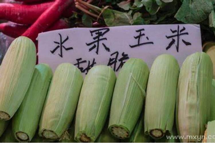 梦到买玉米棒子 梦见买玉米棒子是什么预兆
