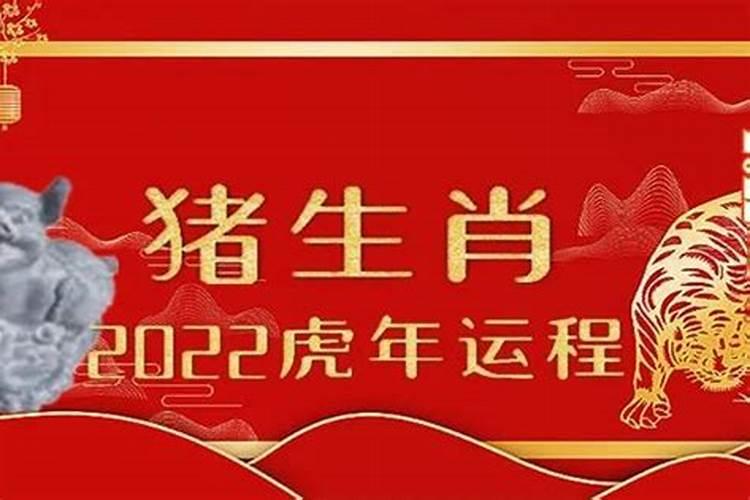 猪年几月出生的人命好