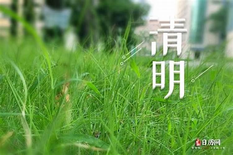 65年属蛇女的婚姻,十二生肖与人生运势