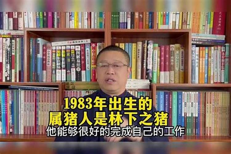 属虎的和属狗的相配吗 属虎的和属狗能结合吗