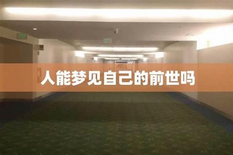 属狗人相冲相害相刑生肖生肖狗最忌讳的三个属相？