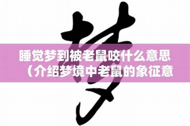 梦到老鼠是什么征兆