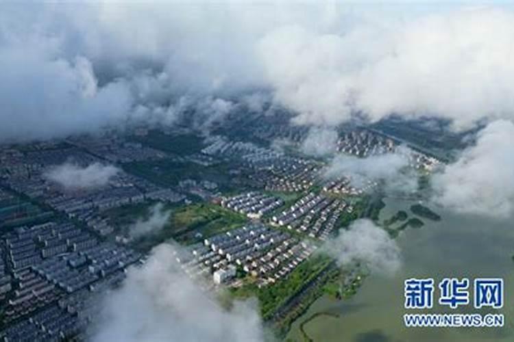 立夏见三新指什么