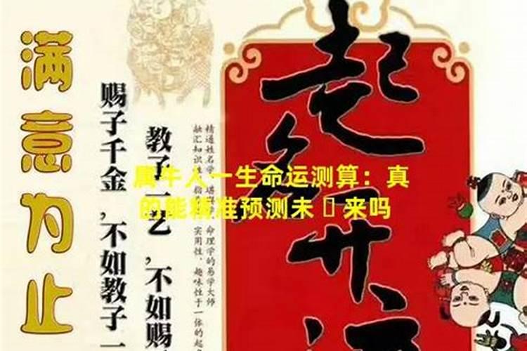 清明节的主要活动内容是什么？