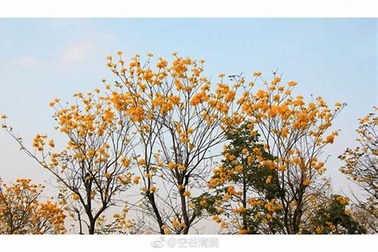 立夏该吃什么好 盘点不同地方的立夏习俗