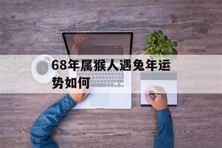 属兔猴年的运势,属兔与属猴财运和不和