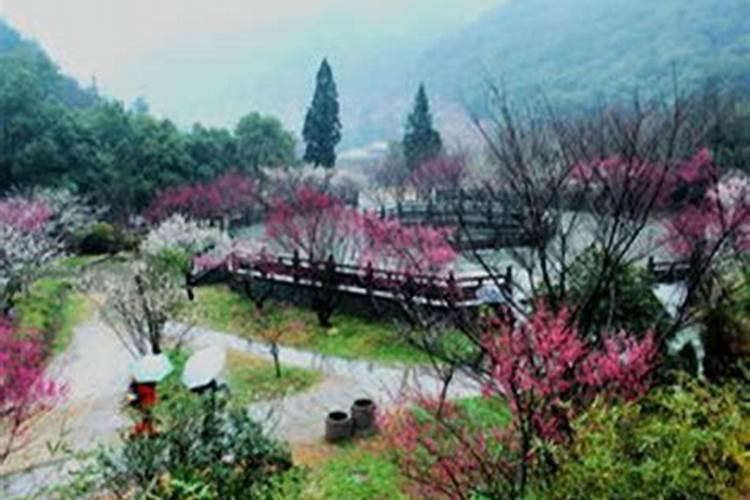 正月十五元宵节都会做什么？