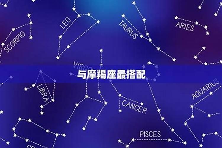 金牛座和什么座最配