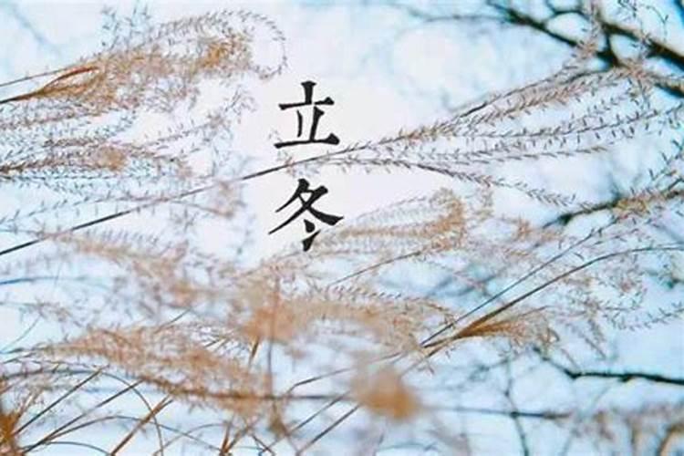 童子命的人换过替身后生活会顺利吗