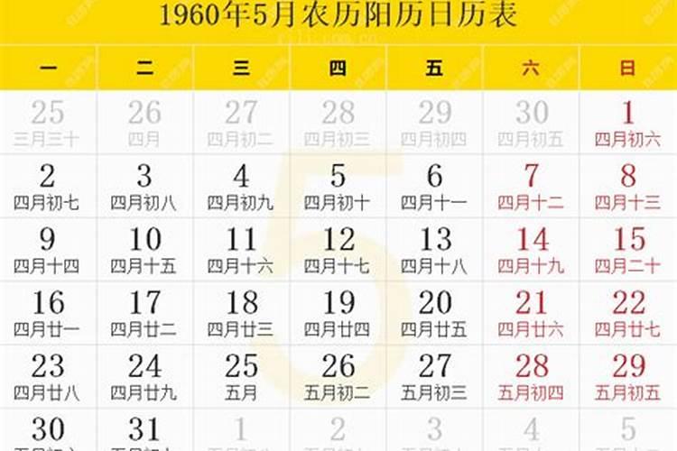 2025年6月5号属马的运气