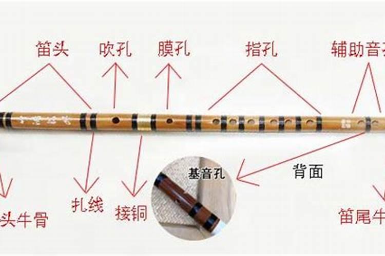 立冬的风俗吃什么,立冬的风俗有哪些？