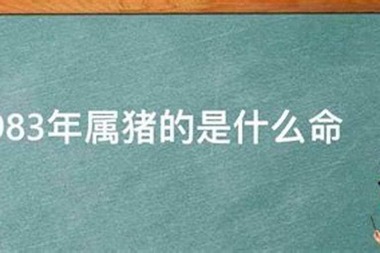 83年属猪五行什么命