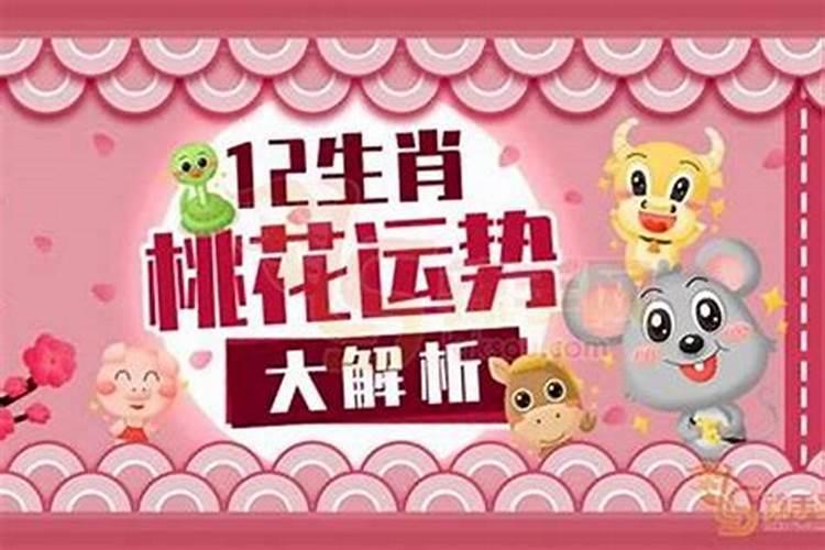 生肖虎女命中注定的情人