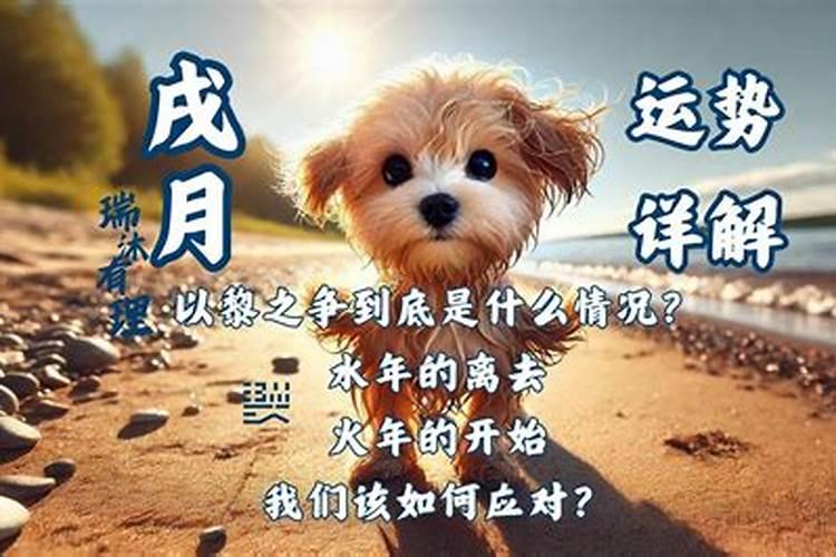 1994年10月19日晚6点左右出生的男属狗人的运势如何？