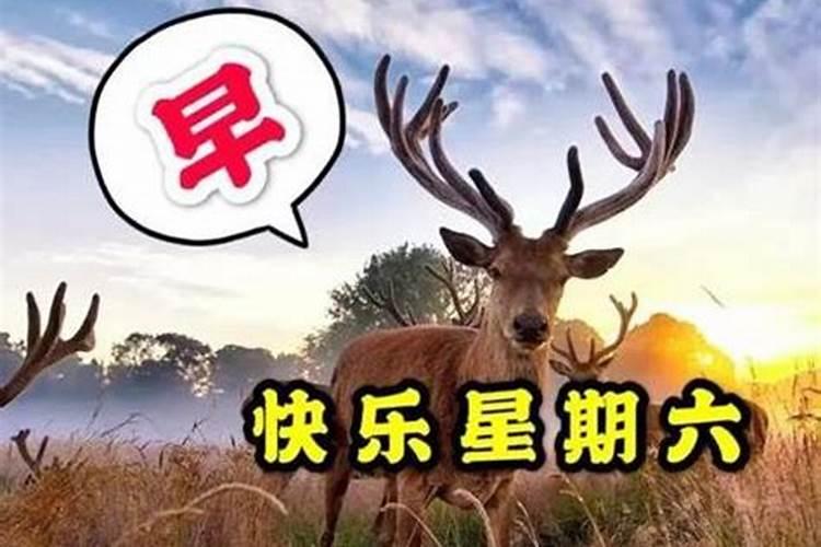 腊月最佳上坟时间是哪一天 上坟最好在几点