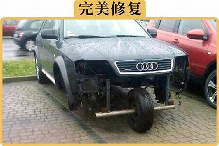 梦到大乌龟是什么意思周公解梦？