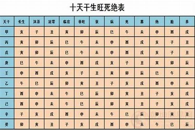 怎么看自己的八字天干地支