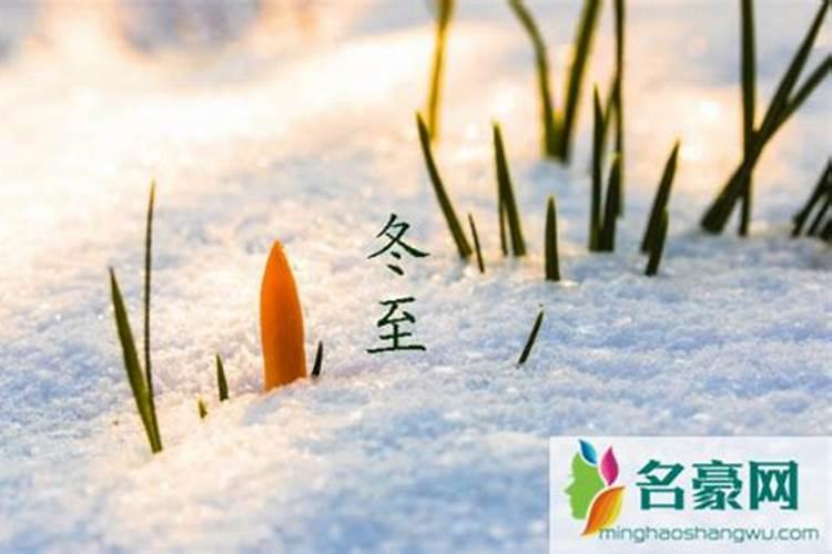 冬至交九还是立冬交九立冬进九还是冬至进九