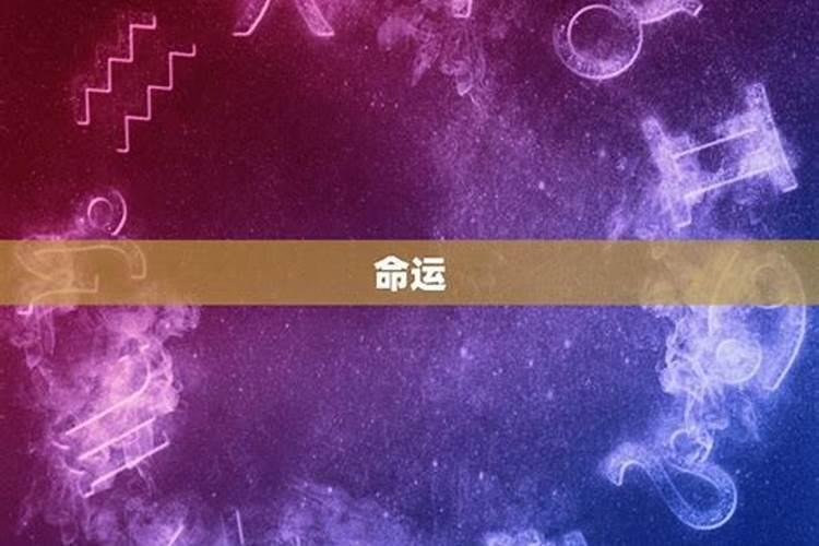 2025年猪1995年运势及运程