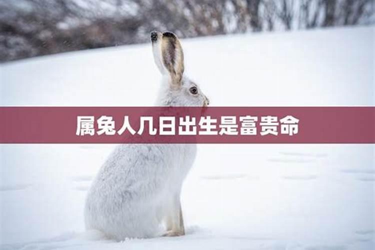 2025年4月10号可以搬家吗