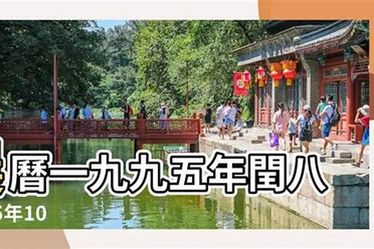 71的猪十月初三辰时 命运如何