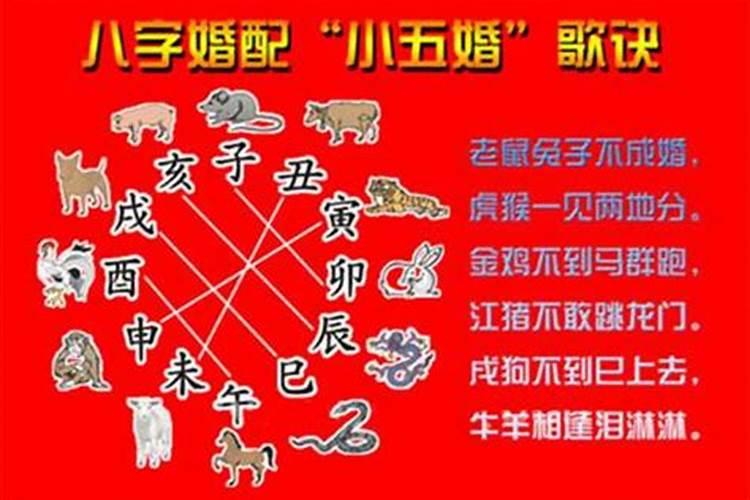 八字桃花查询表