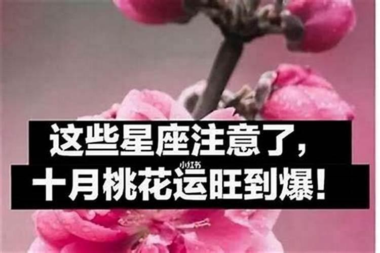 6月份有横财的属相