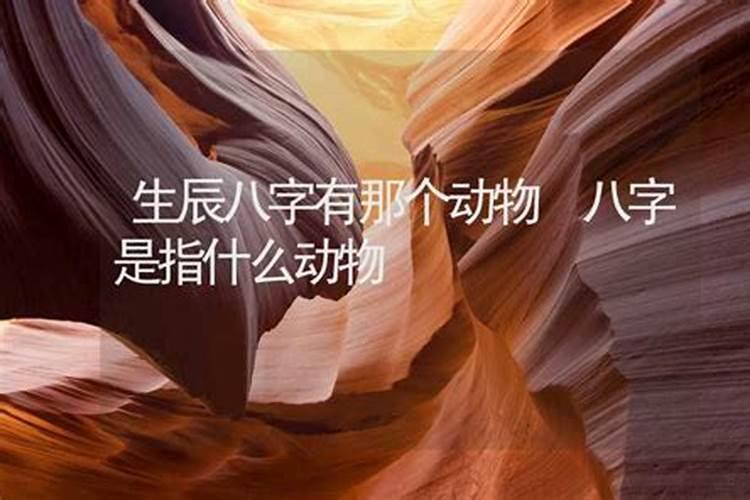 生辰八字.是什么动物请求解
