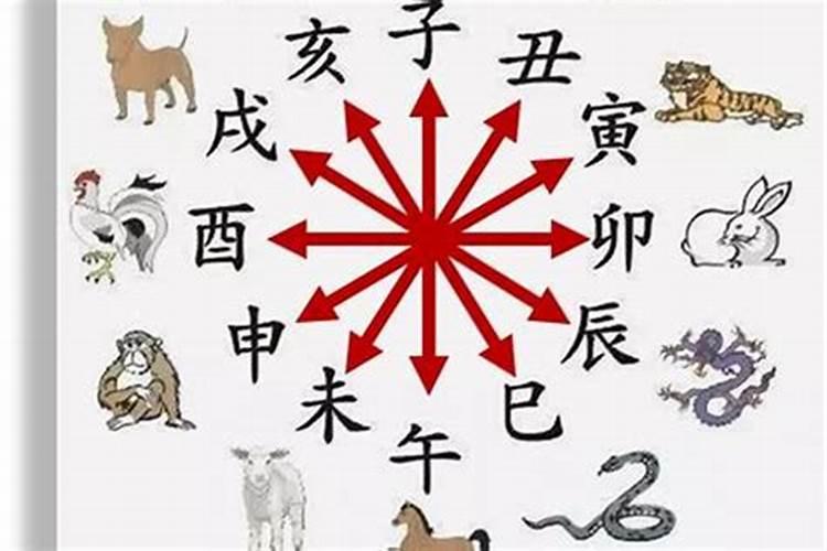 生于腊月的生肖属猪女命运如何 属猪女一生财运好吗
