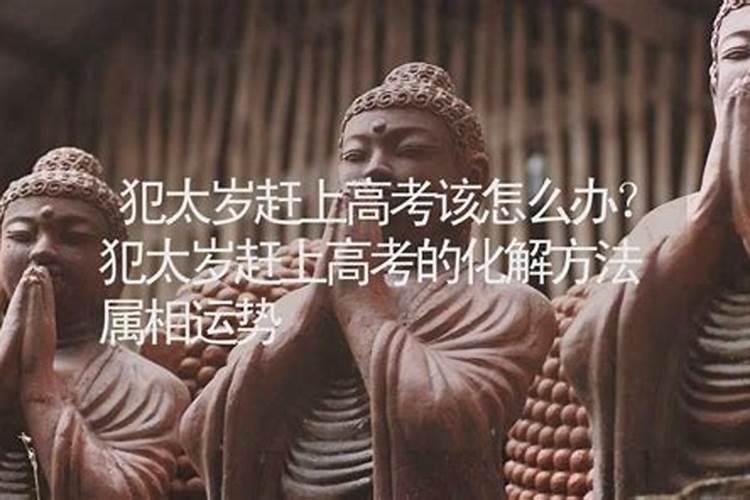 18女 吃素三年 身体有些吃不消(底子不好)今年属狗犯太岁 突然吃肉...