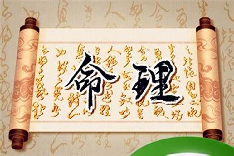 生肖蛇:梦见什么会发财？