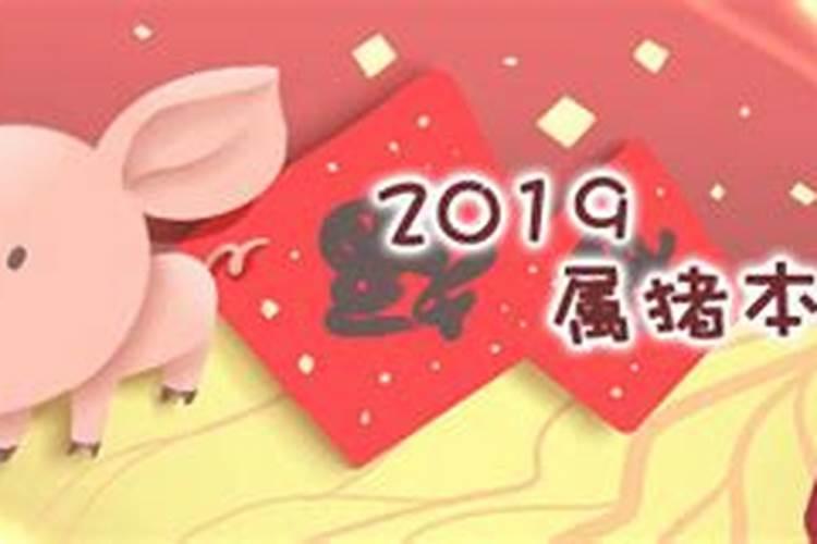 本命年是否可以佩带金猪饰品？