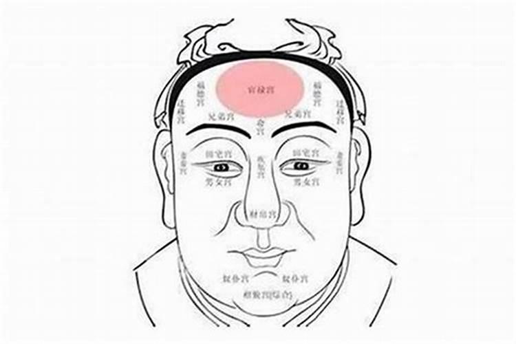 农历82年腊月24,也就是公历83年2月6日,应该属什么？以前算命的说过的立...
