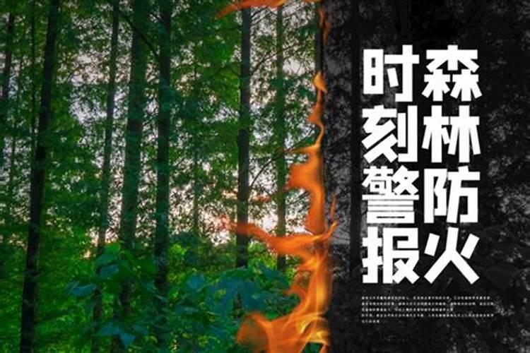 中学生如何做好森林防火