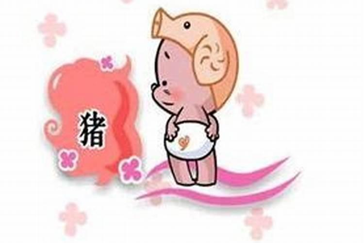 男猪女龙相配吗