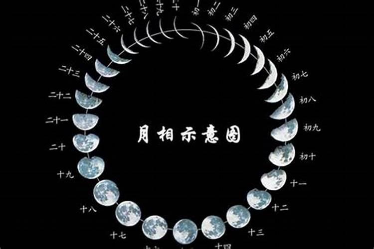 一九八九年农历二月二女命 农历二月出生的人命运