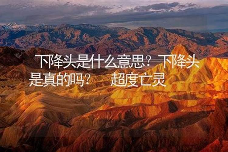 生肖兔1975年2025年运势如何 生肖兔1975年2025年全年运势