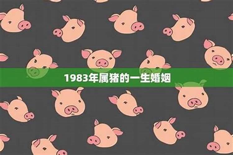 1983年属猪人最难熬年龄