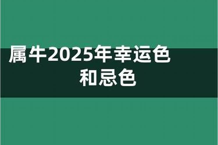 2000年属龙女在2025年全年运势如何