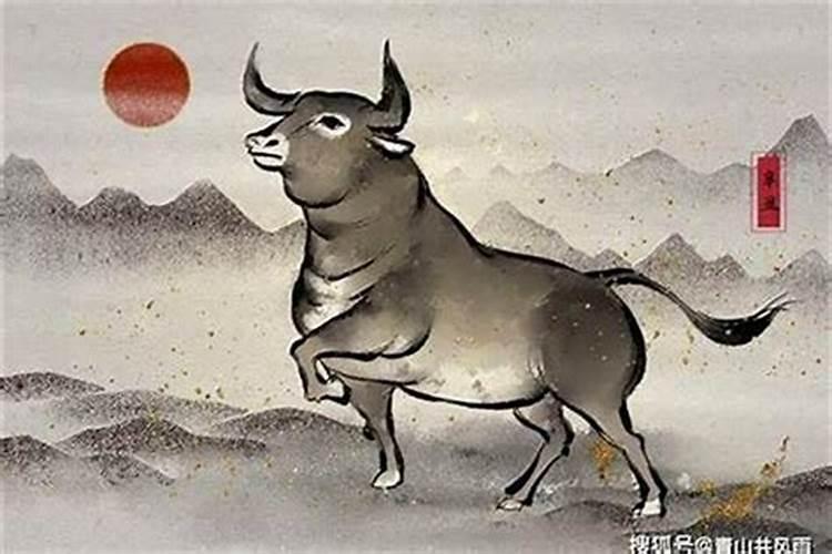 农历腊月十七出生的男孩命运 顺风顺水带福气相？
