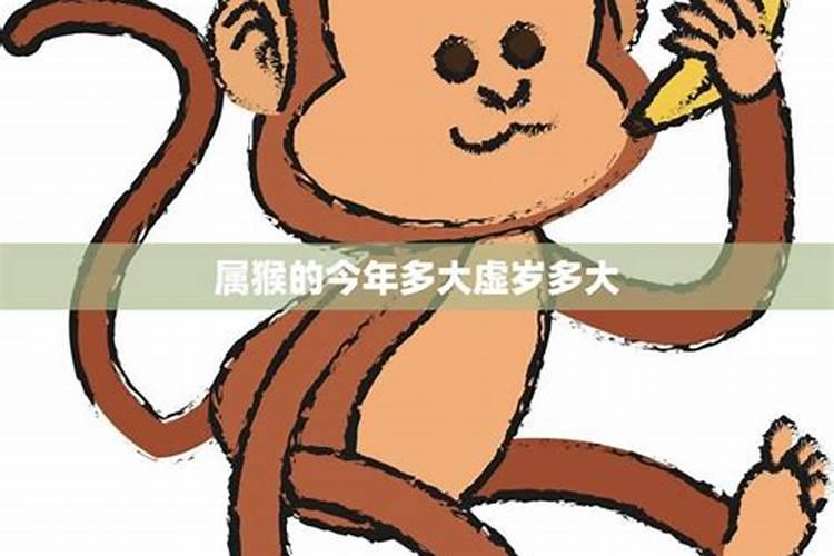 92年属什么生肖多大了