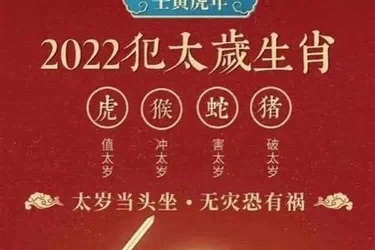 双子怎么追水瓶