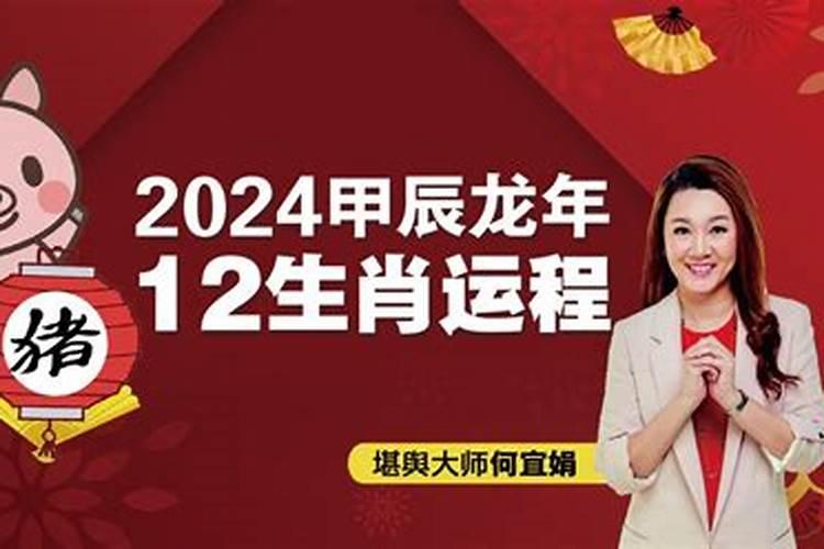 83年11月的猪2024年运势(83年猪40岁后十年大运运程)