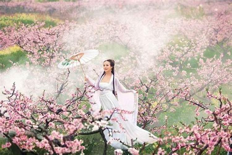 桃花运的运势是怎么样 会给你带来好运还是霉运