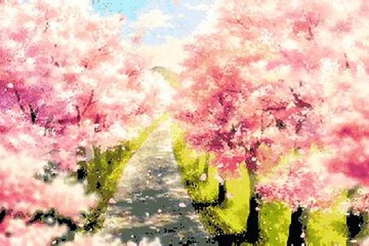 男人催桃花运的9种方法 桃花位上放花瓶可招桃花