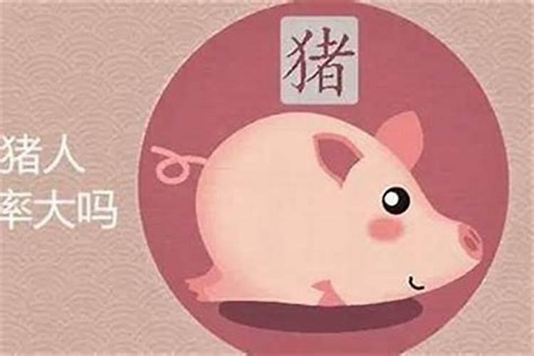 71年属猪人2024年每月运势