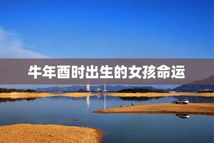 请高手帮忙算命,1994年11月初7 (农历) 酉时 女