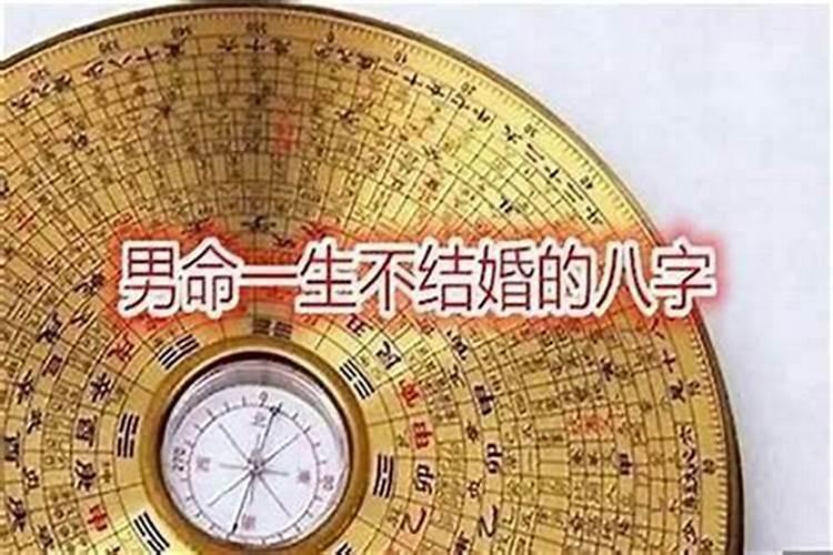 属牛和属马的合得来吗
